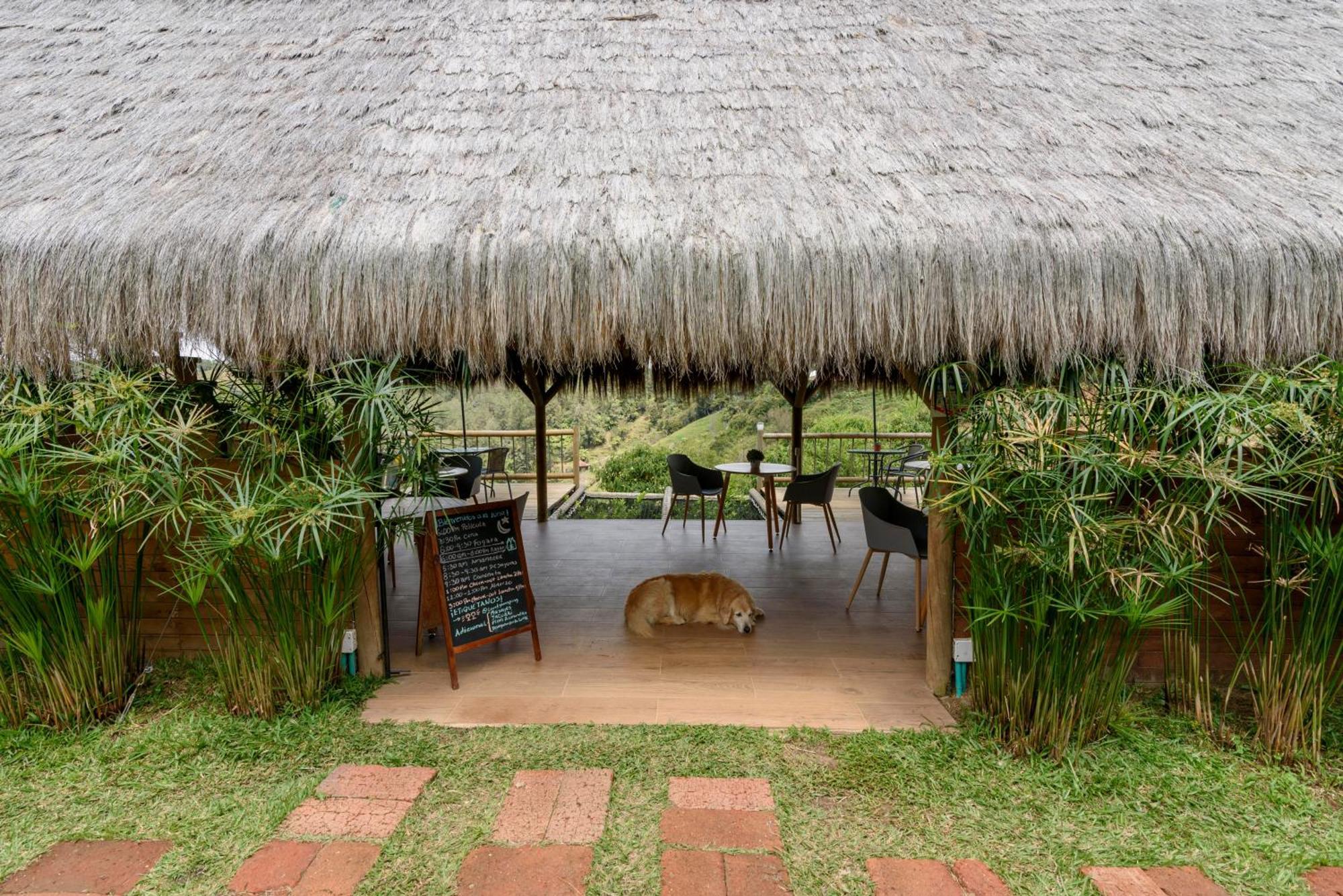 Levit Glamping - Hotel Guatape Penol (Adults Only) Εξωτερικό φωτογραφία